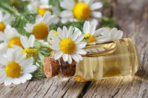 روغن بابونه